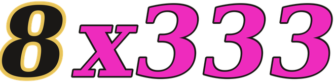 8x333 logo